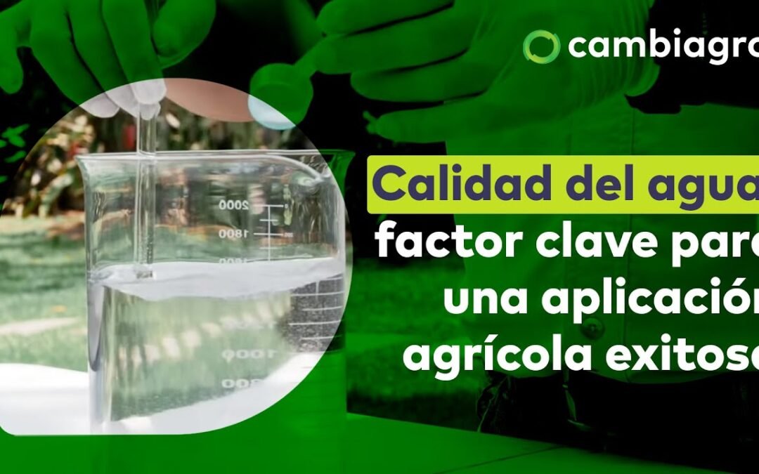 Parámetros críticos en el análisis de agua para agricultura