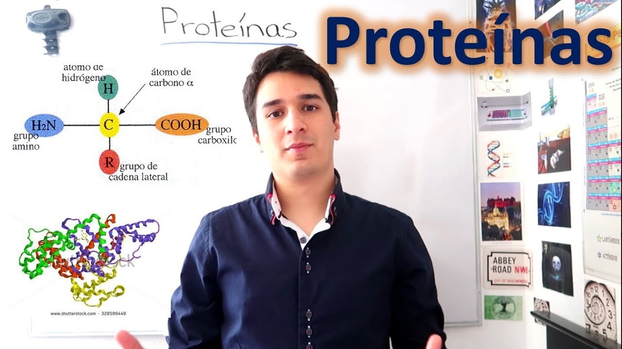 Análisis de proteínas y carbohidratos en alimentos