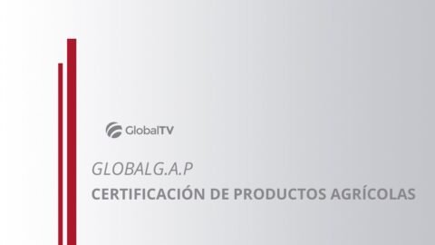 Certificación PJLA su influencia en el mercado global | Laboratorio ...