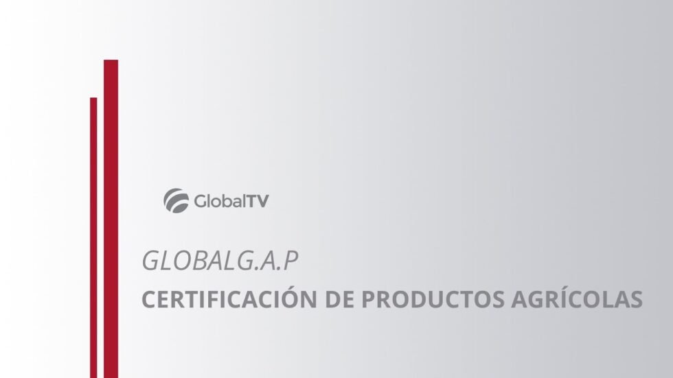 Certificación PJLA su influencia en el mercado global | Laboratorio ...