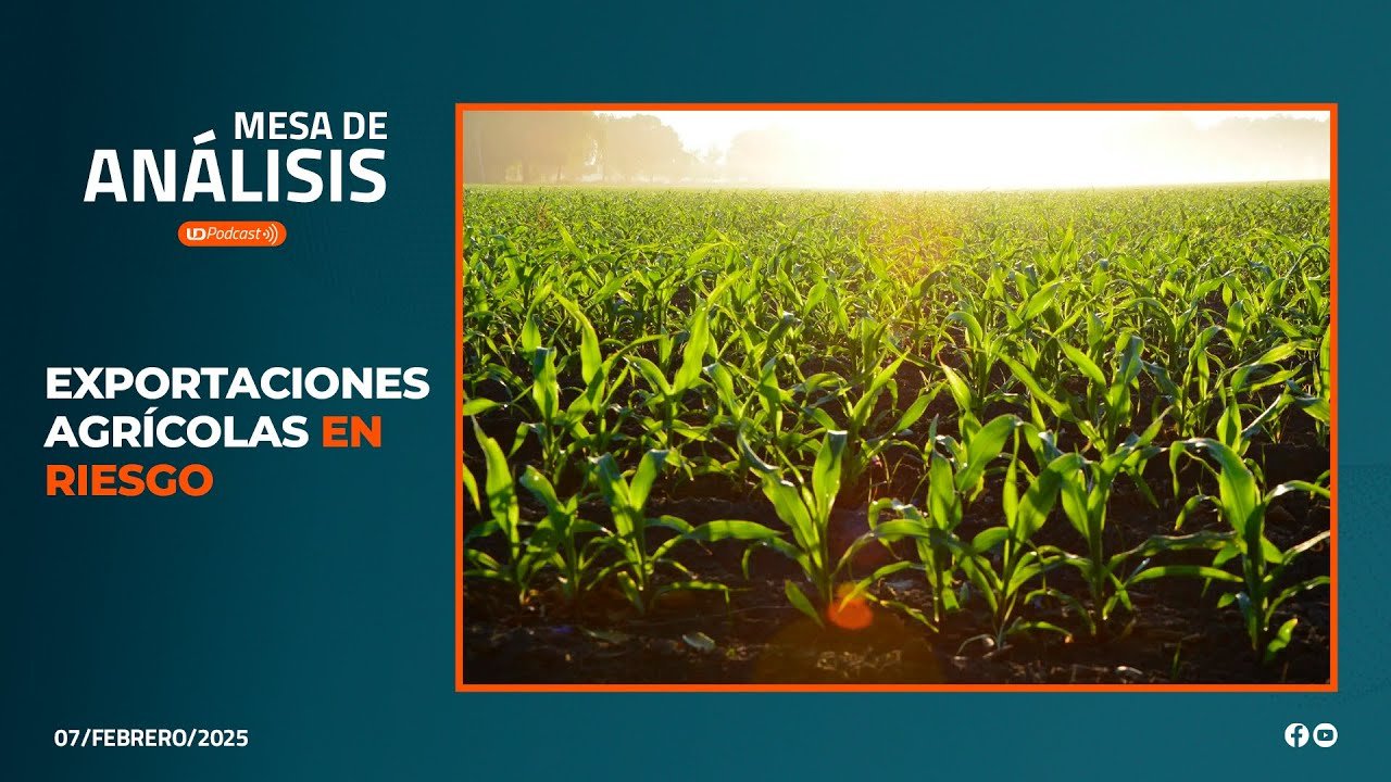 Impacto del análisis en la calidad de productos agrícolas exportados