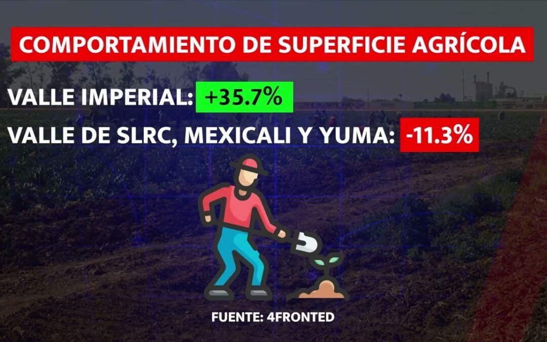 Impacto económico de realizar análisis en cultivos agrícolas