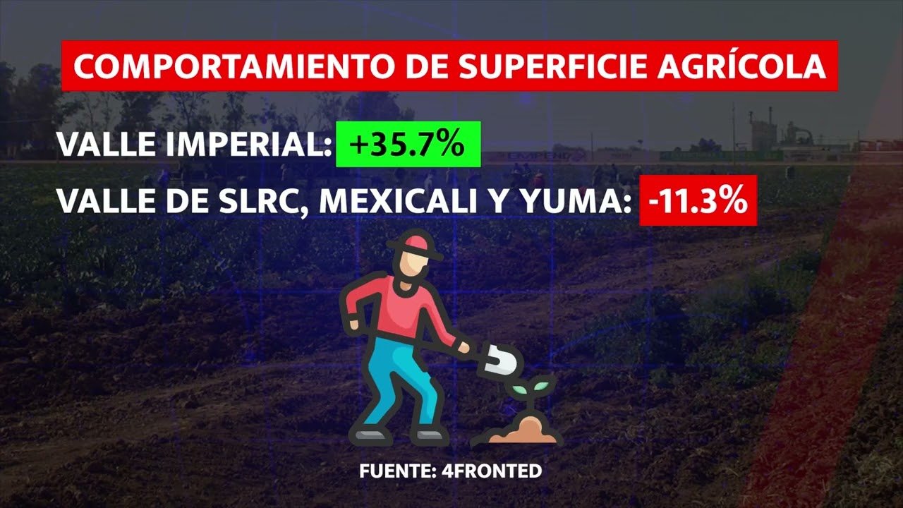 Impacto económico de realizar análisis en cultivos agrícolas