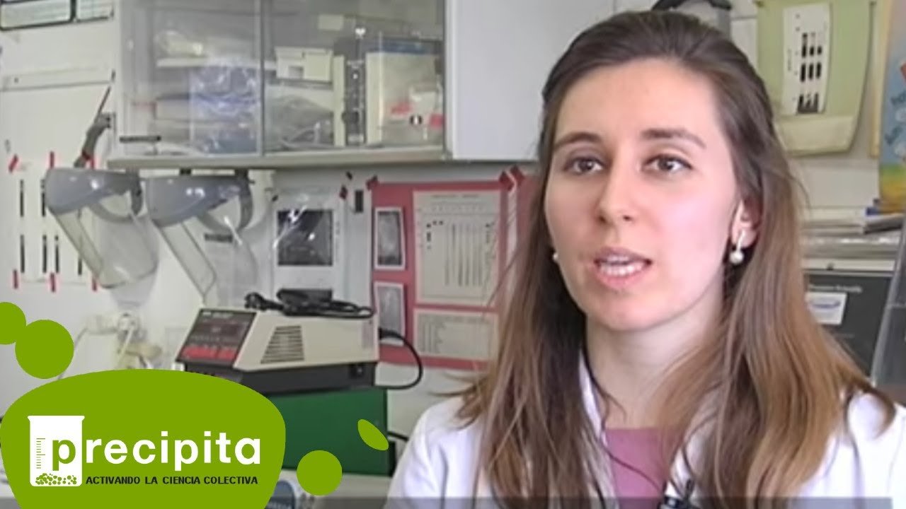 Resultados de éxito en la reducción de contaminación por metales