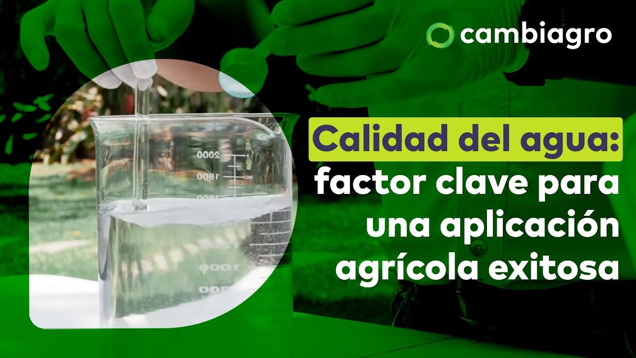 Retos comunes en la calidad del agua para uso agrícola
