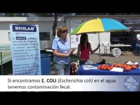 Rol del análisis de agua en la mejora de sistemas de irrigación