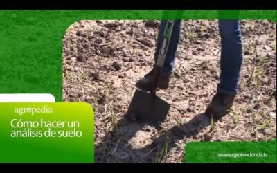Técnicas de análisis para optimizar fertilizantes en la agricultura