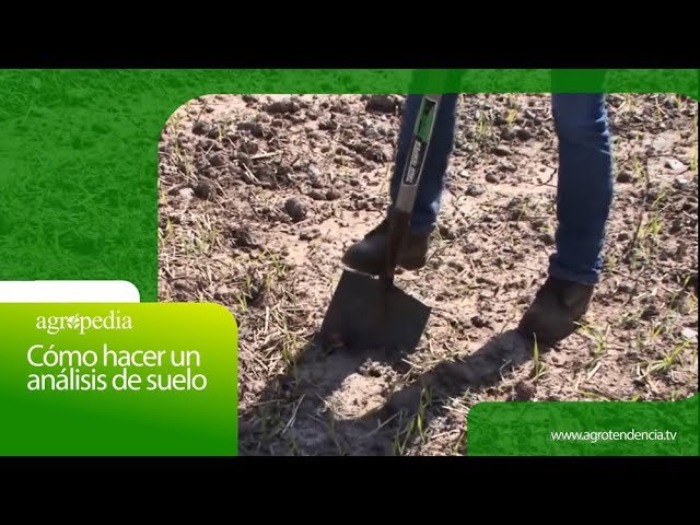 Técnicas de análisis para optimizar fertilizantes en la agricultura