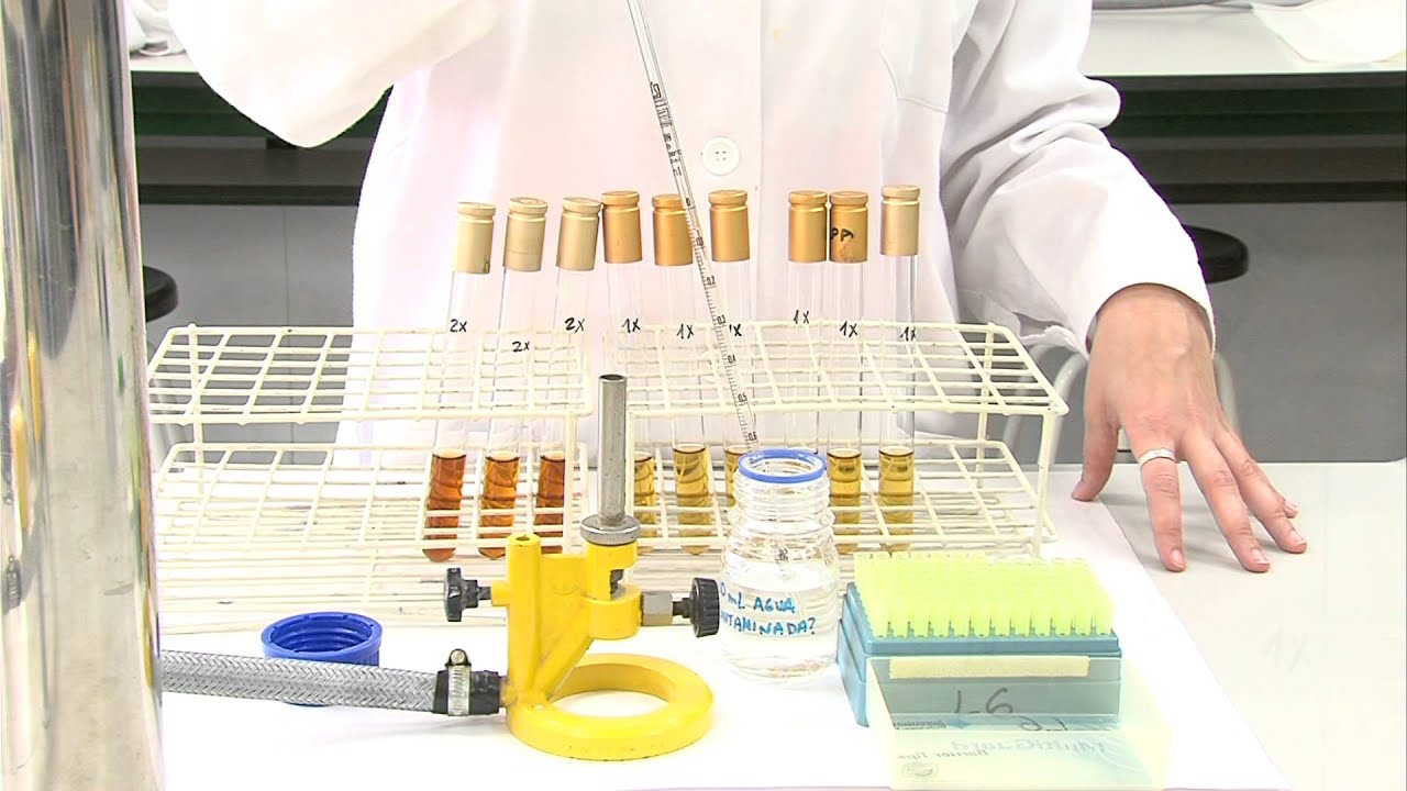 Técnicas modernas para detectar bacterias en el agua