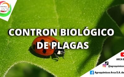 ¿Cómo contribuyen los análisis al control de plagas agrícolas?