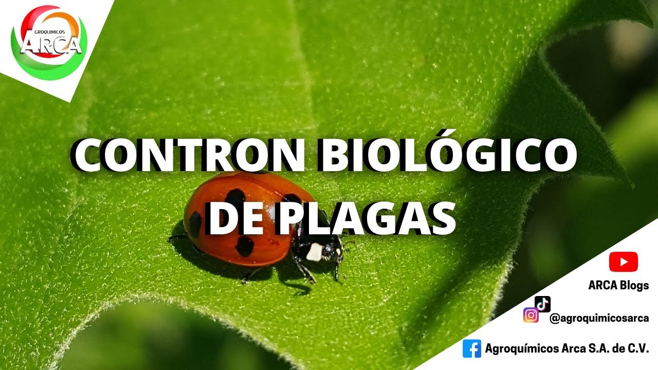 ¿Cómo contribuyen los análisis al control de plagas agrícolas?